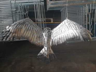 IMG-20200312-WA0011